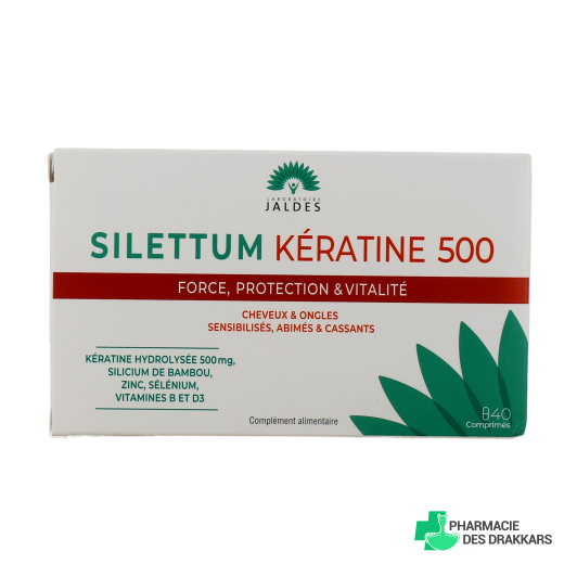 Silettum Kératine 500