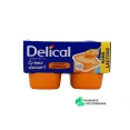 Delical Crème Dessert HP HC Sans lactose