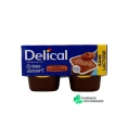 Delical Crème Dessert HP HC Sans lactose