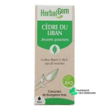 Herbalgem Cèdre du Liban Bio - Vue 360°
