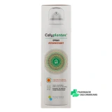 Calyplantes - Vue 360°