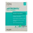 Ineldea Artrobiol Patchs Chauffants