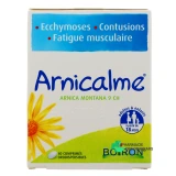 Arnicalme - Vue 360°