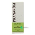 Pranarom huile essentielle Angélique