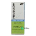 Pranarôm Huile Essentielle de Lavande Vraie