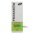 Pranarom Huile Essentielle Eucalyptus globuleux