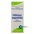 Boiron Teinture mère Echinacea Angustifolia