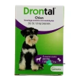 Drontal Chien Vermifuge