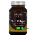 Hifas da Terra Mico-Polypor