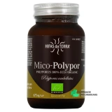 Hifas da Terra Mico-Polypor - Vue 360°
