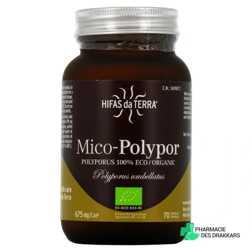 Hifas da Terra Mico-Polypor