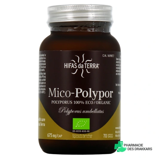 Hifas da Terra Mico-Polypor