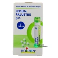Boiron Ledum palustre granules