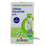 Boiron Ledum palustre granules - Vue 360°
