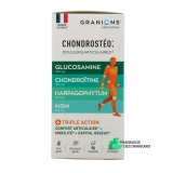 Chondrostéo Articulations - Vue 360°
