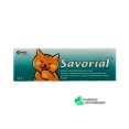 Savorial Chat