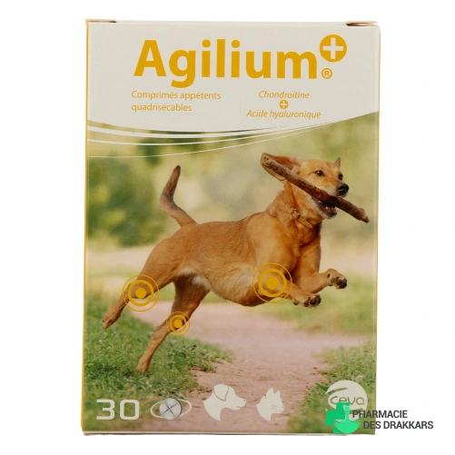 Agilium+