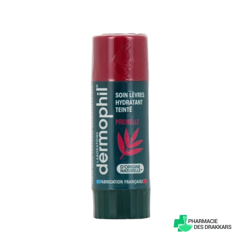 Dermophil Soin Teinté Protection Lèvres