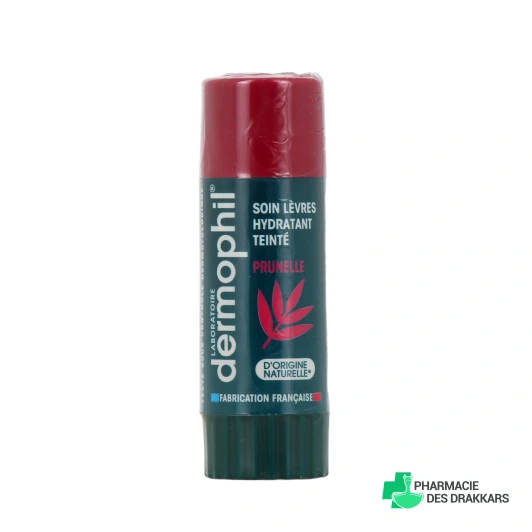 Dermophil Soin Teinté Protection Lèvres