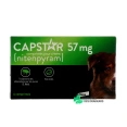 Capstar Chien Traitement Anti-Puces