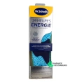 Scholl 24 Heures Énergie Semelles