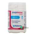 Nutergia Ergypaïne Plus