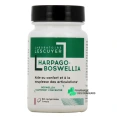 Lescuyer Harpago-Boswellia