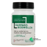 Lescuyer Harpago-Boswellia - Vue 360°