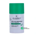 Alvadiem Déo Stick Absorbant 48h