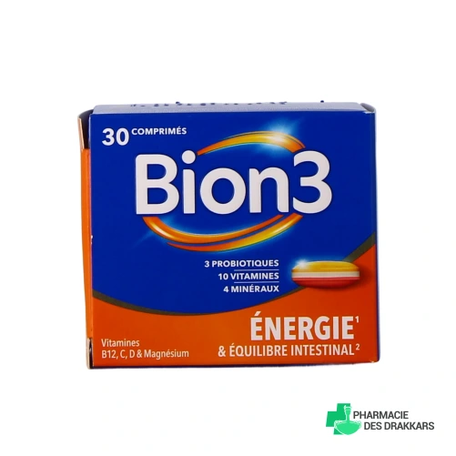 BION 3 Énergie
