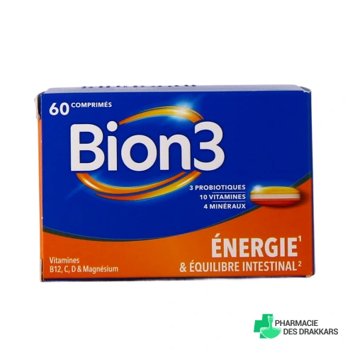 BION 3 Énergie