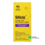 Silicio - Vue 360°