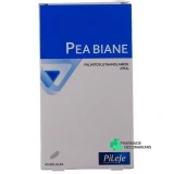 Pileje PEA Biane - Vue 360°
