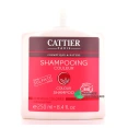 Cattier Shampooing Couleur Bio Sans Sulfate