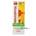 Nociceptol ORL Spray Gorge