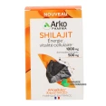 Arkogélules Shilajit