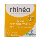 Rhinéa - Vue 360°