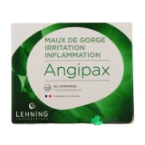 Lehning Angipax - Vue 360°