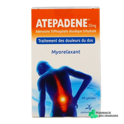 Atepadene - Vue 360°