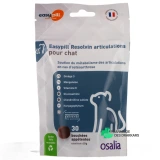 Easypill Resolvin Articulations pour Chat - Vue 360°