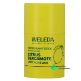 Weleda Déodorant Stick 24h - Vue 360°