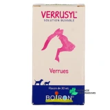 Verrusyl - Vue 360°