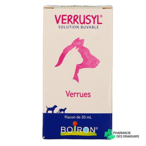 Verrusyl - Vue 360°