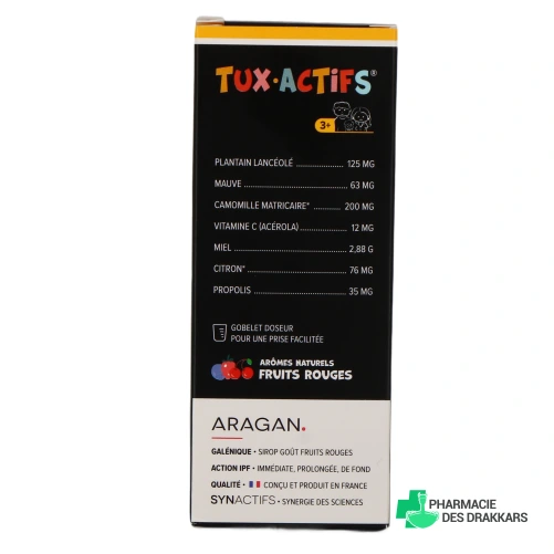 Synactifs Tux Actifs - Vue 360°
