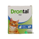 Drontal Chat - Vue 360°