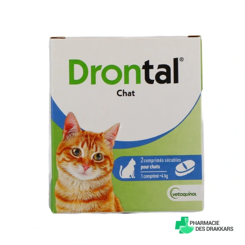 Drontal Chat - Vue 360°