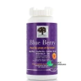 Blue Berry