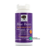 Blue Berry - Vue 360°