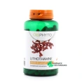 Go Phyto Lithothamne Source de Calcium
