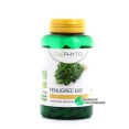 Go Phyto Fenugrec Bio